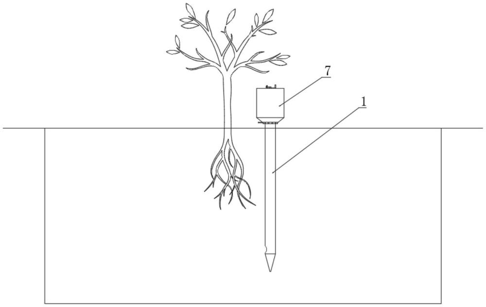 一种促进干旱区植物深根设备