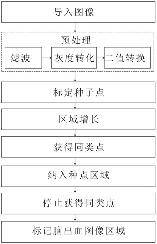 基于种子点与区域增长算法的脑出血自动检测系统