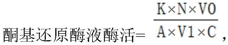 酮基还原酶突变体、编码基因、载体及应用的制作方法