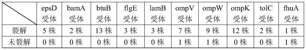 一株可降低副溶血弧菌耐藥性的噬菌體及其應(yīng)用