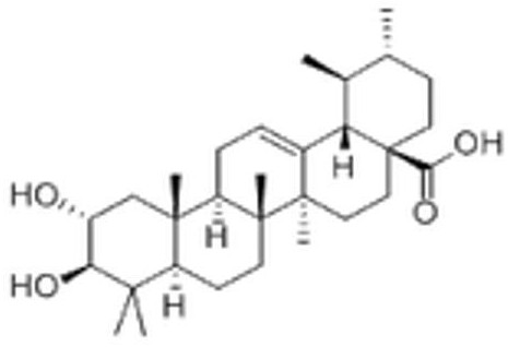 一种医用高分子聚合物载体及其作为皮肤保护剂的用途的制作方法