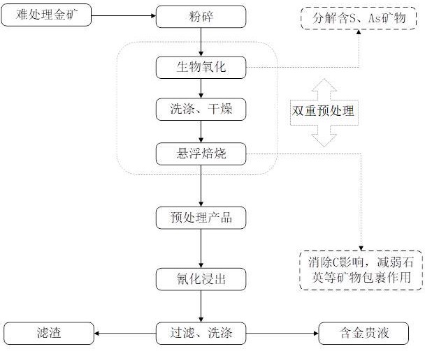 一种难处理金矿生物氧化-悬浮焙烧-氰化浸出的方法