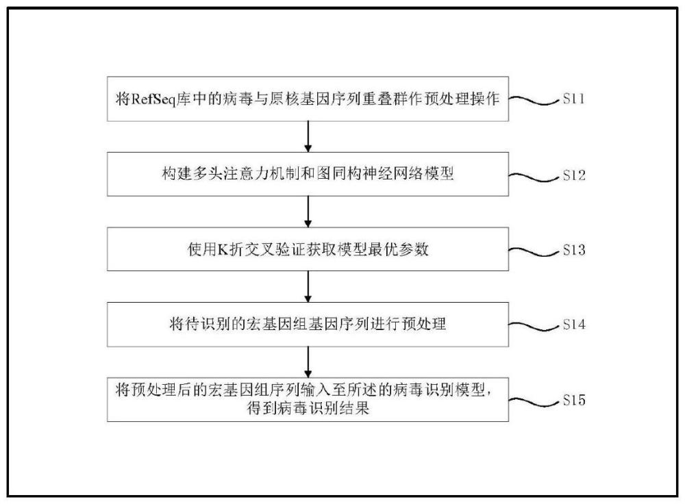 一種基于多頭注意力機制和圖同構神經網絡的病毒識別方法