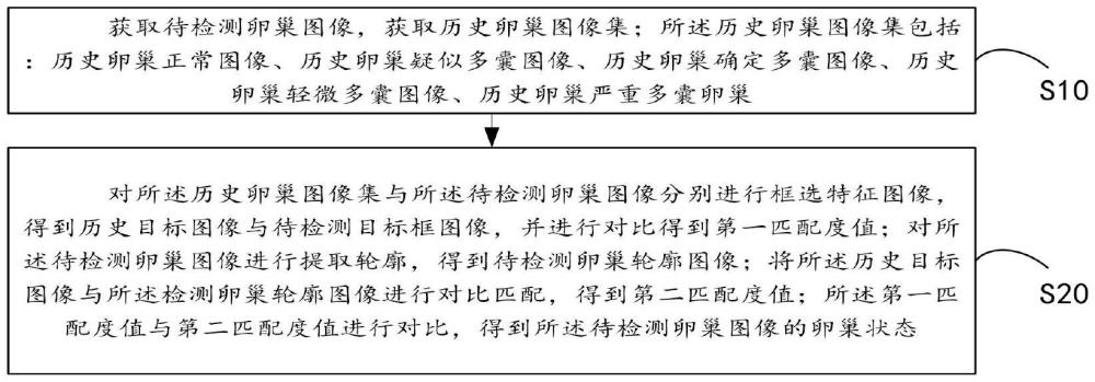 一種腫瘤細(xì)胞篩查檢測處理方法、系統(tǒng)及存儲介質(zhì)與流程