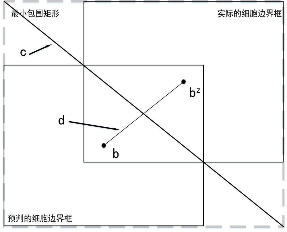 一种骨髓细胞形态学人工智能分析方法及系统