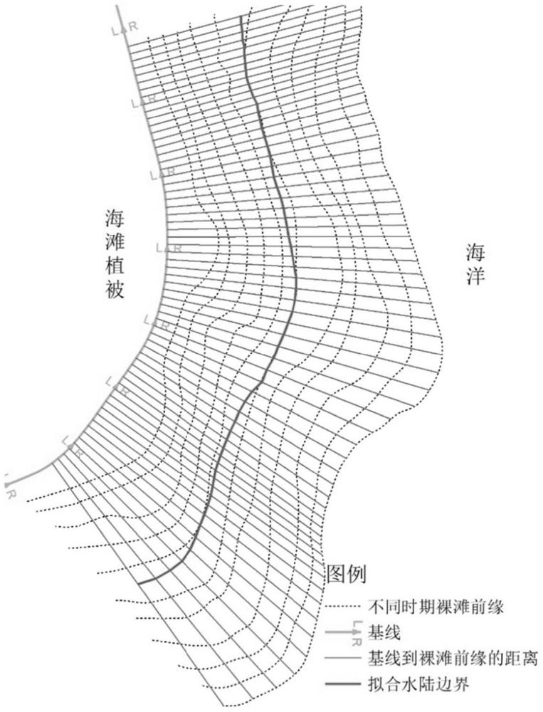 量化滨海湿地植被向海扩张阈值的方法