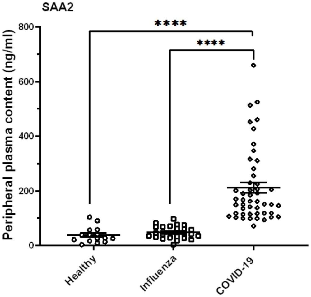 SAA2分子标志物在制备用于区分流感病毒和COVID-19试剂中的应用的制作方法