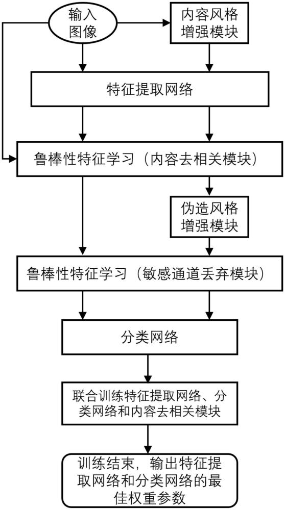 基于領(lǐng)域魯棒表示學(xué)習(xí)的泛化人臉偽造檢測(cè)方法