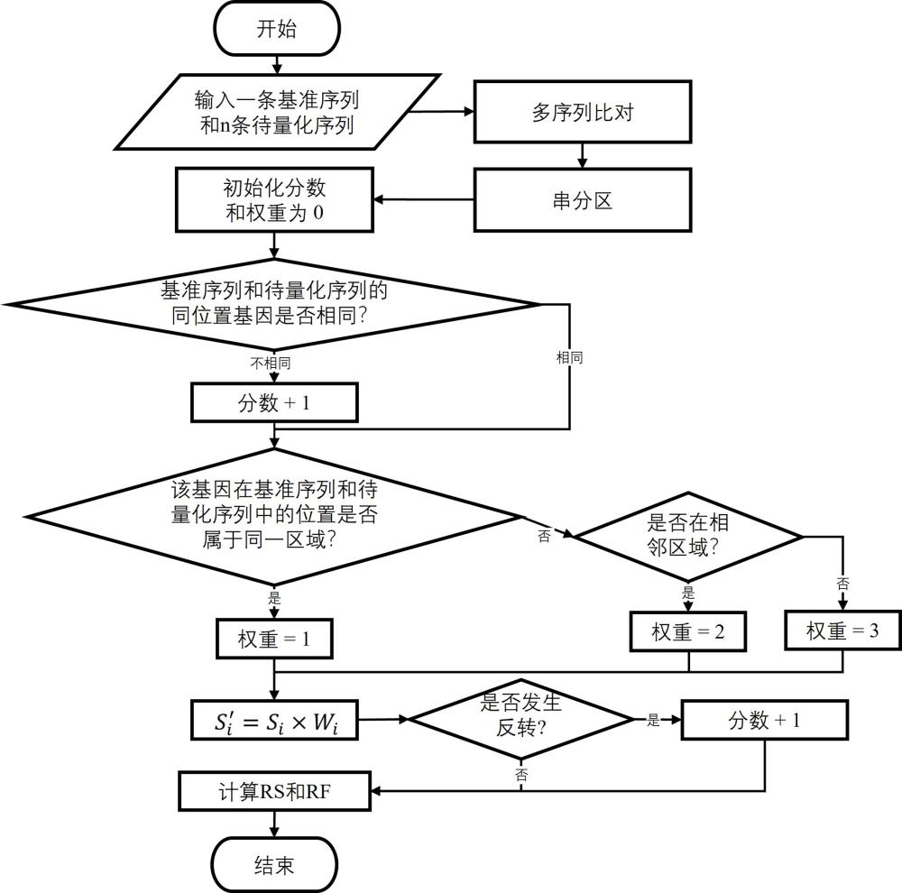 基于同源性分析和区域加权的线粒体基因组重排量化方法