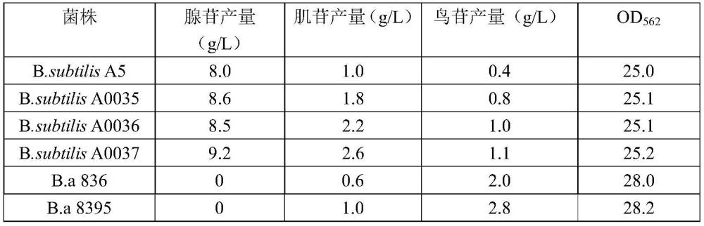 一种生产核苷及其相关衍生物的方法、突变体、重组微生物与应用与流程