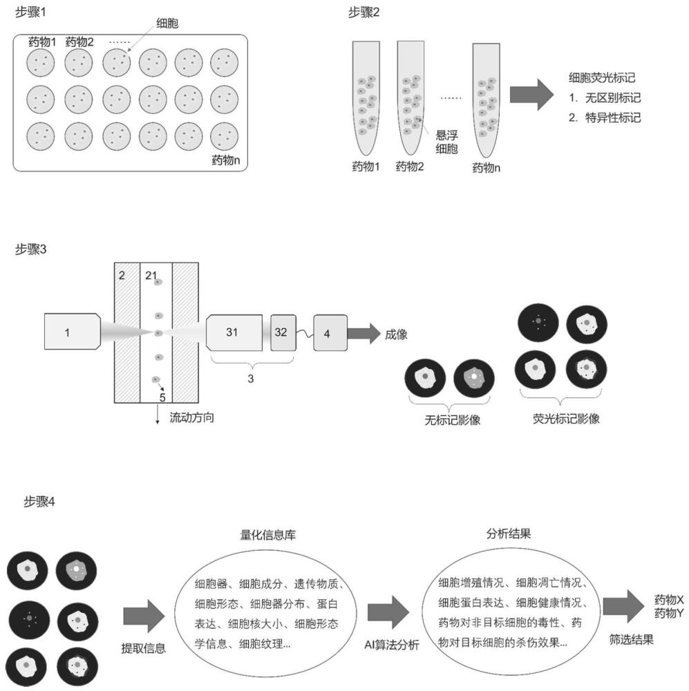 基于成像流式细胞术的高通量药物筛选方法与流程