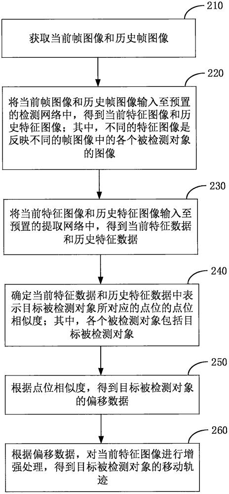 基于图像的小型生物群体行为检测跟踪方法及装置与流程