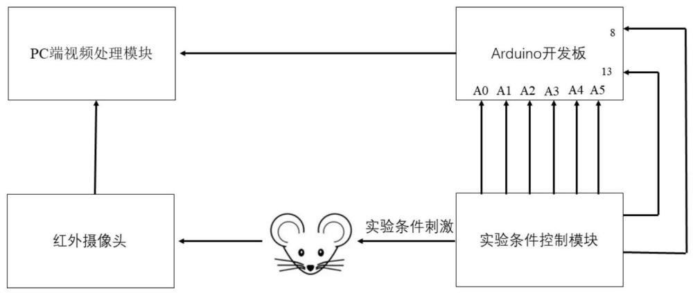 一种用于深度学习的小鼠面部视频数据集制作系统及方法