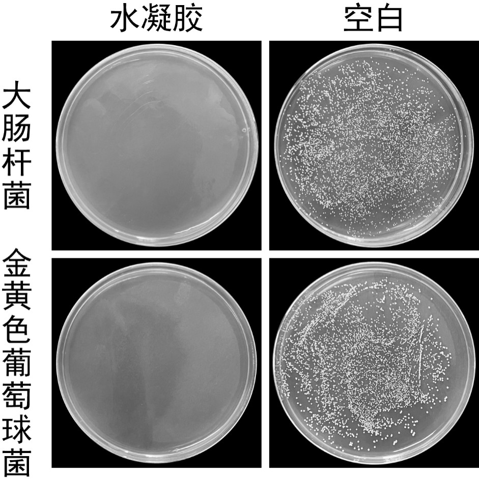 水凝胶纳米磁性颗粒图片