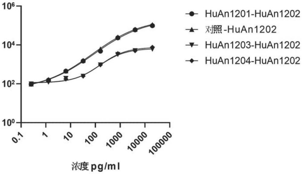 特异性结合IL-12的抗体、抗体片段及其用途的制作方法