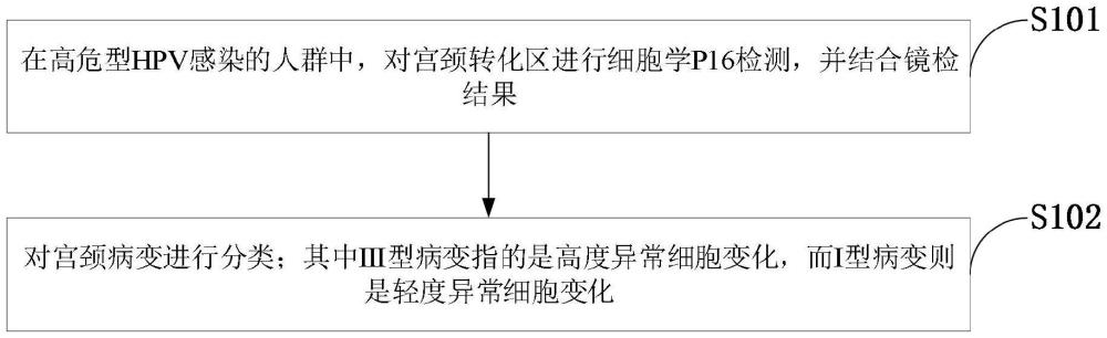 P16及阴道镜检查在持续高危性HPV中的应用