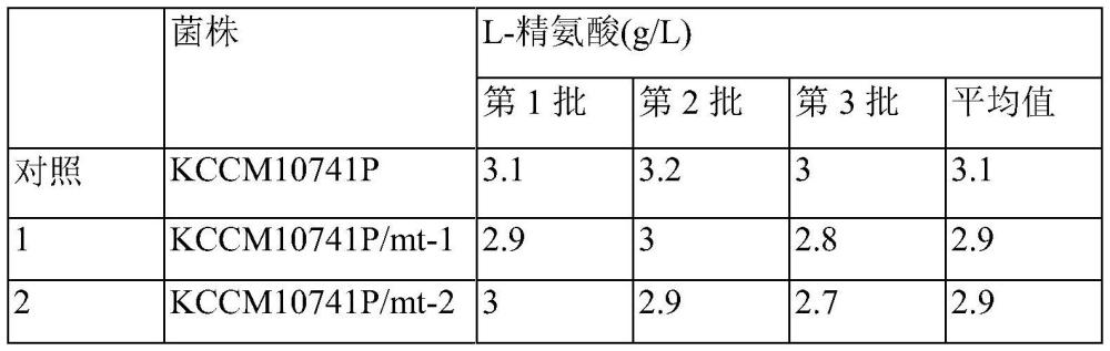 產(chǎn)L-精氨酸棒狀桿菌屬微生物和使用其生產(chǎn)L-精氨酸的方法與流程