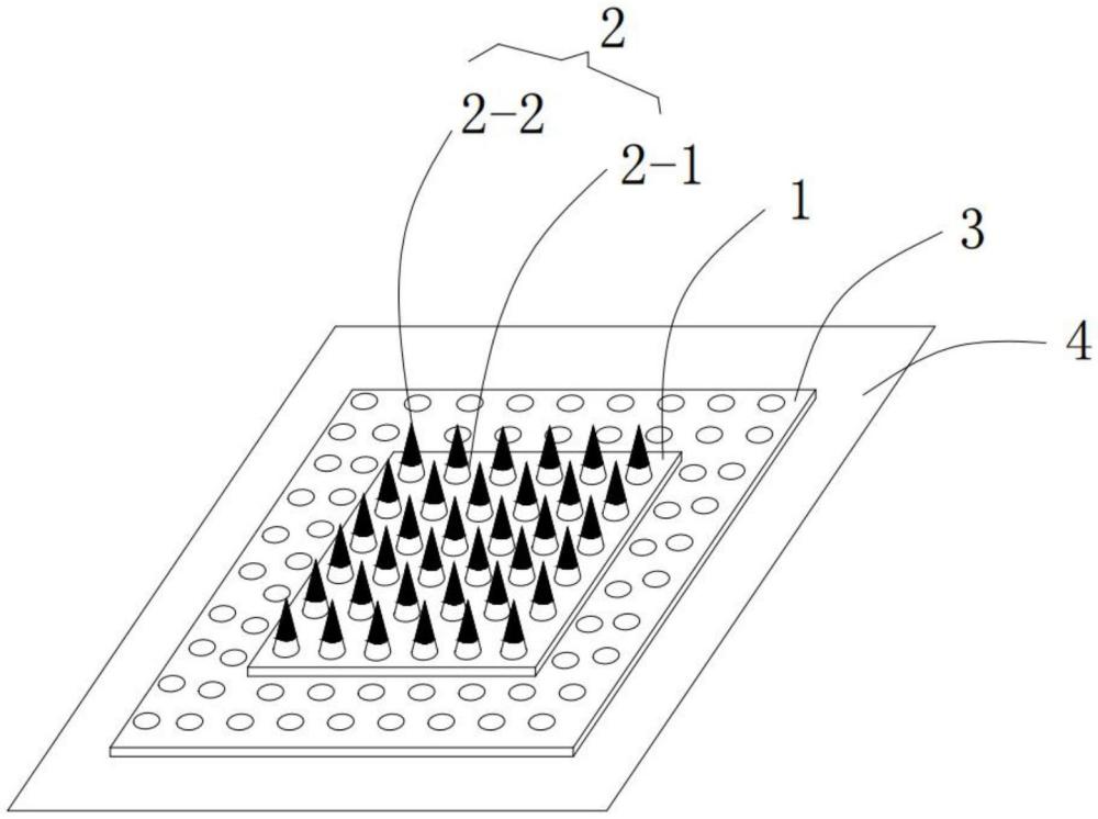 一种用于大分子药物递送的高分子微针贴的制作方法