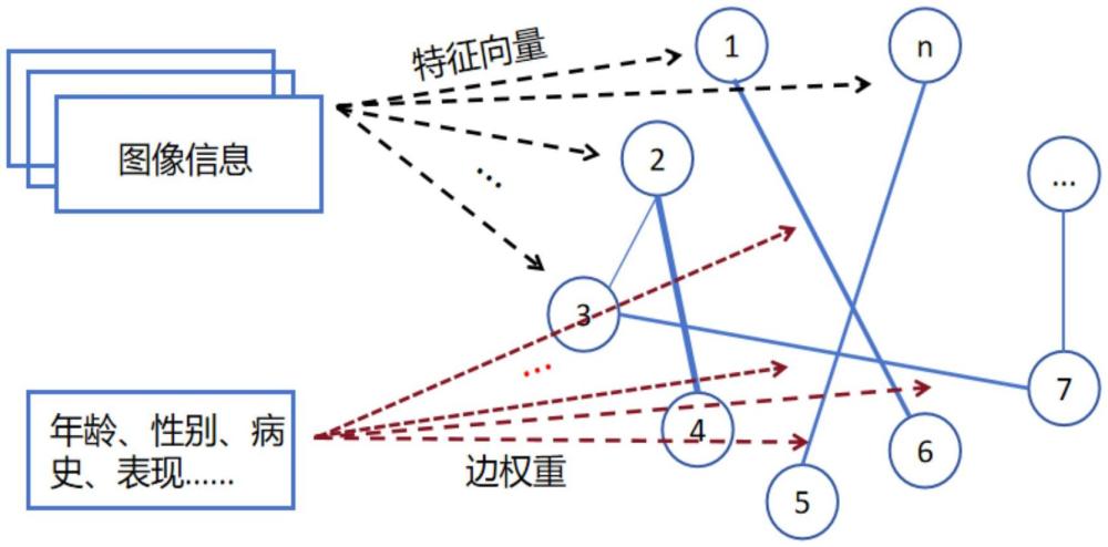 一種基于GNN和CNN雙向結(jié)合的CT圖像分類模型構(gòu)建方法