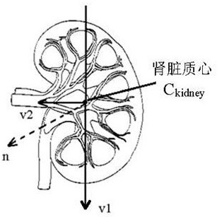 一種腎臟三維圖像主對(duì)稱面的估計(jì)方法與流程