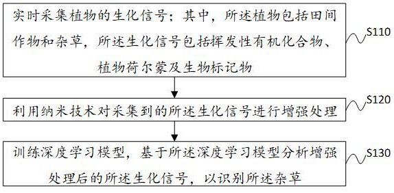 一種自動(dòng)識(shí)別雜草作物的方法及系統(tǒng)與流程