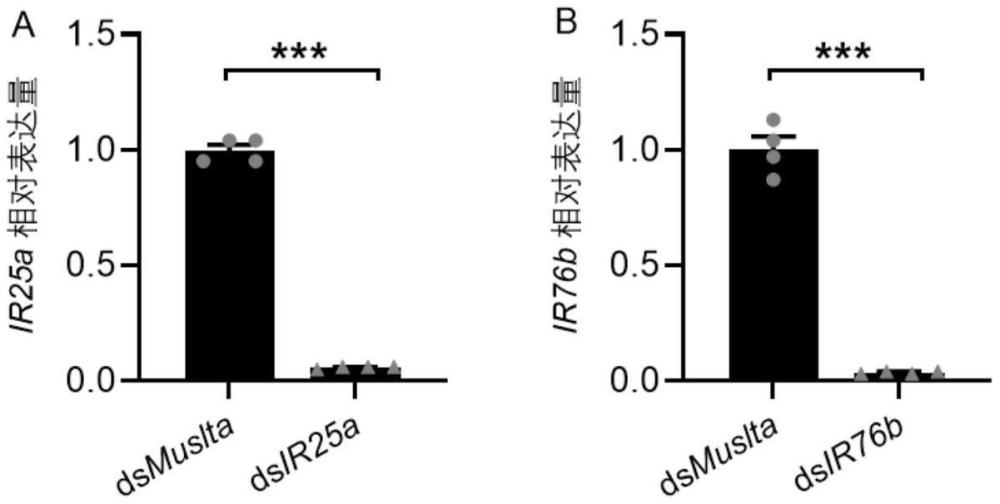 離子型受體共受體基因在德國(guó)小蠊行為調(diào)控中的應(yīng)用