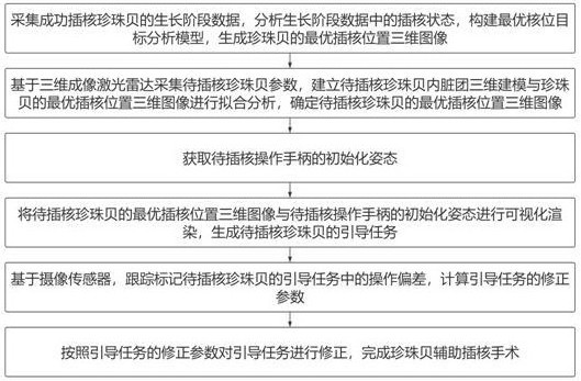 一種用于珍珠貝輔助插核手術(shù)的系統(tǒng)及方法