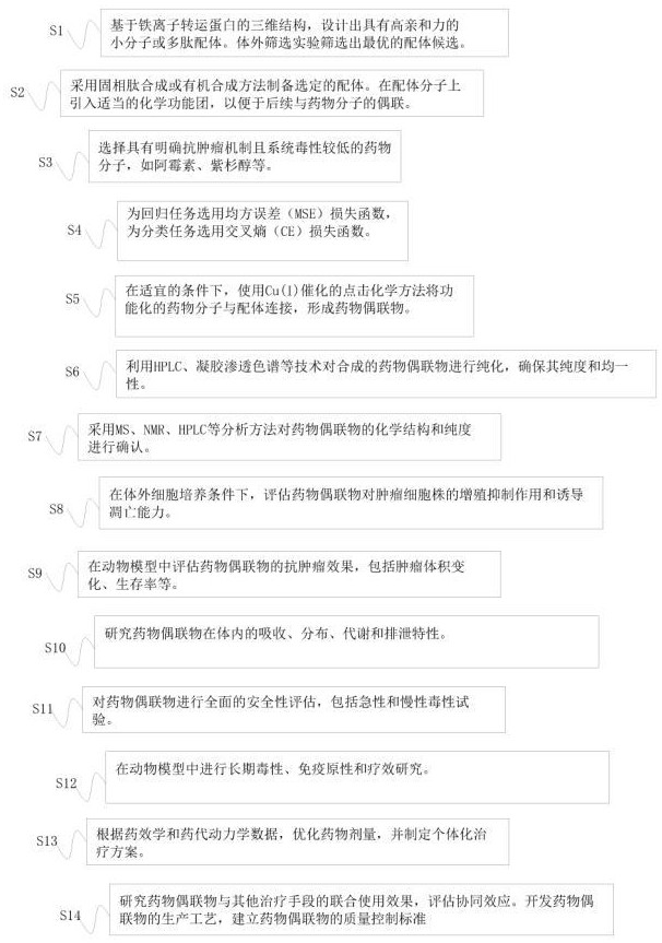 一種新型鐵離子轉(zhuǎn)運(yùn)蛋白靶向藥物的制備方法及其在腫瘤治療中的應(yīng)用與流程