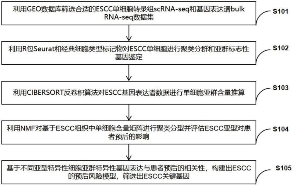 一種食管鱗癌分型和關鍵基因篩選的方法及系統