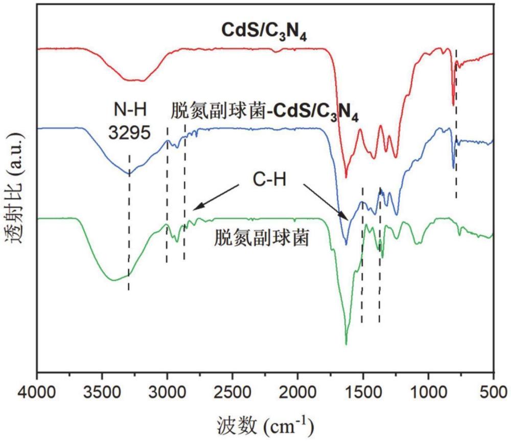 一種CdS/C3N4光催化材料與反硝化細(xì)菌耦合體系和制備方法及應(yīng)用