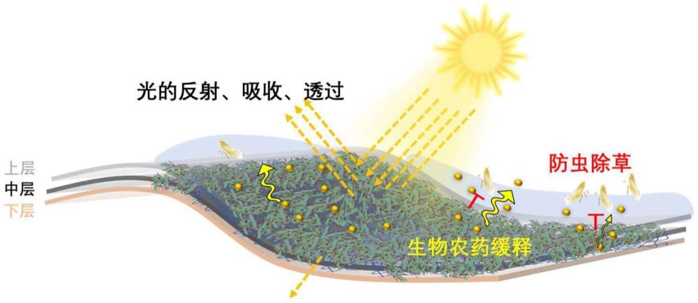 防蟲控草環境共生型復合全生物降解地膜及其制備方法和應用