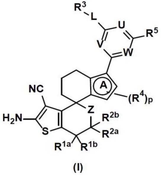 用于治療癌癥的環(huán)狀2-氨基-3-氰基噻吩及衍生物的制作方法