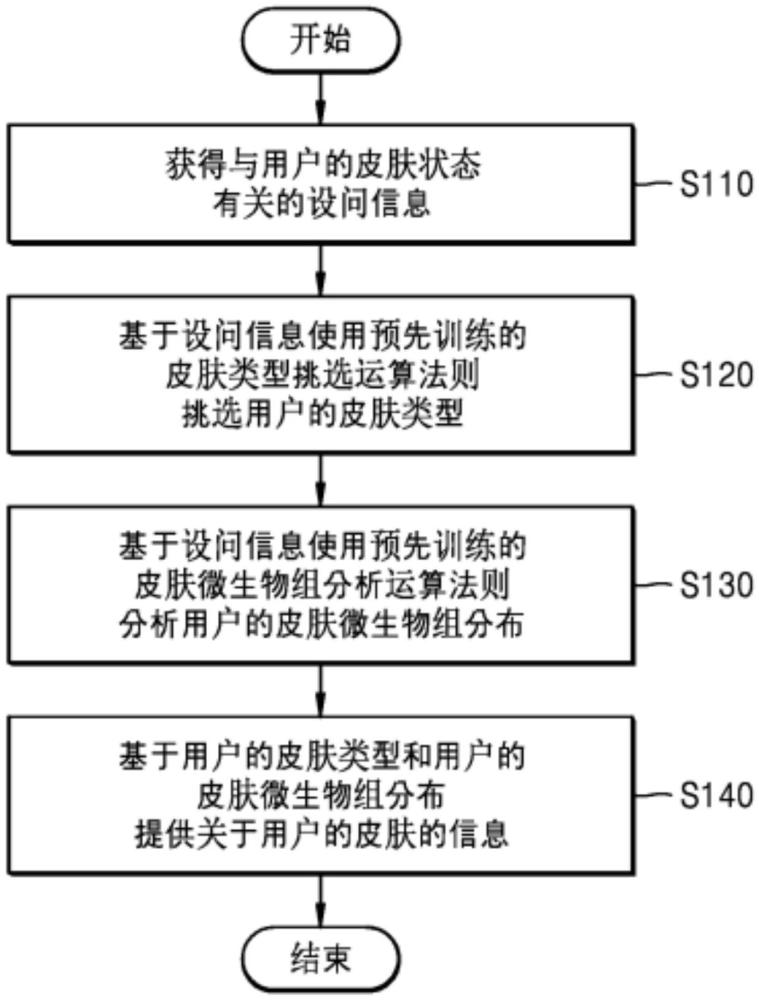 基于皮肤微生物组的皮肤信息提供装置和方法与流程