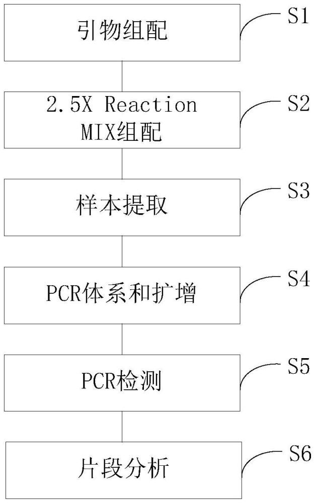 一種耐藥基因檢測(cè)方法及系統(tǒng)與流程