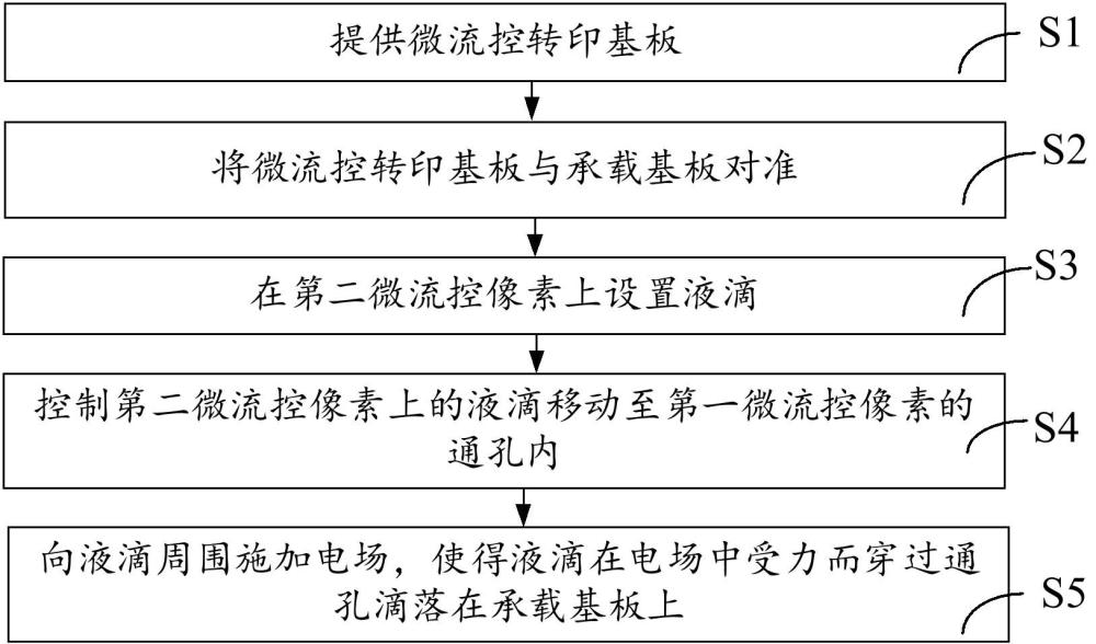 轉(zhuǎn)移液滴的方法、微流控轉(zhuǎn)印組件、微流控轉(zhuǎn)印裝置與流程