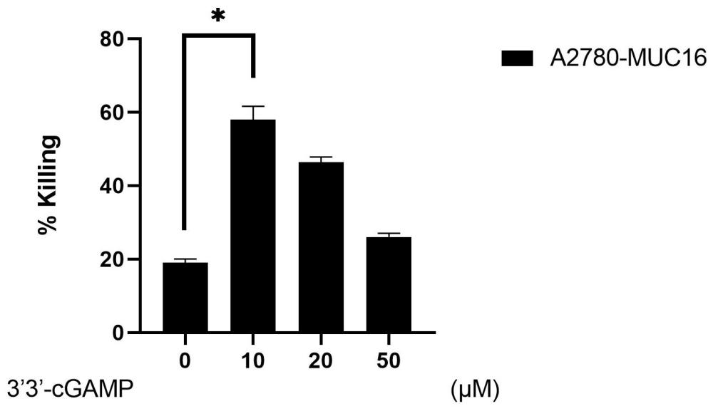 3'3'-cGAMP在制備增強(qiáng)MUC16 CAR-T對(duì)腫瘤細(xì)胞殺傷效果藥物中的應(yīng)用