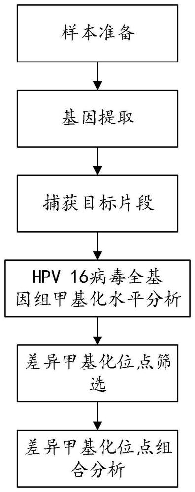 一種基于機器學習的宮頸癌病毒甲基化位點分析方法