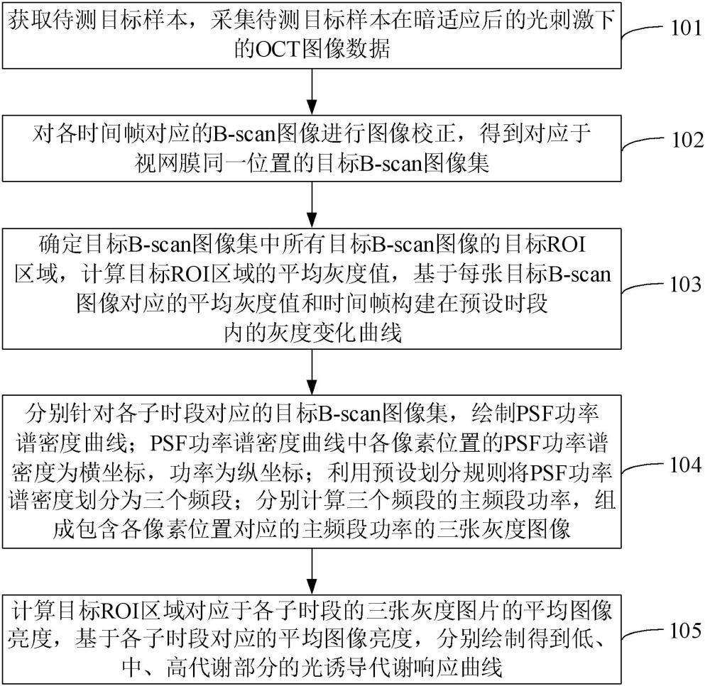 一種視網(wǎng)膜光功能成像方法及設(shè)備與流程