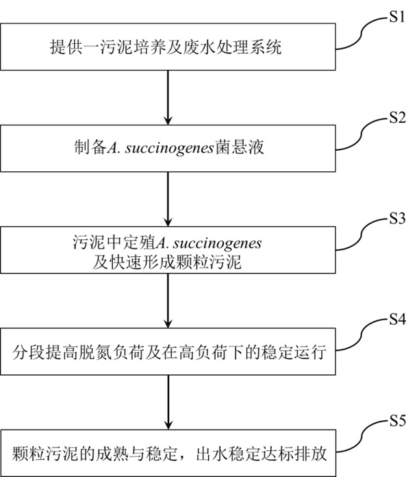 一種快速形成反硝化顆粒污泥及強(qiáng)化高硝酸鹽氮廢水脫氮的方法