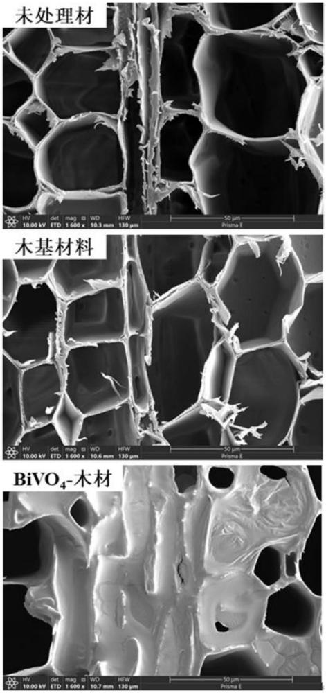 一種BiVO4-木材光催化劑的制備方法及其應(yīng)用