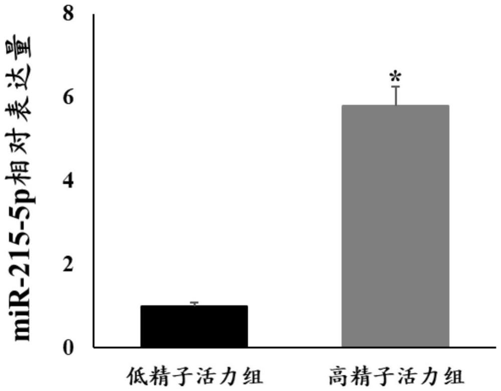 一種與鸚鵡精子活力和受精率相關(guān)的miRNA及其應(yīng)用