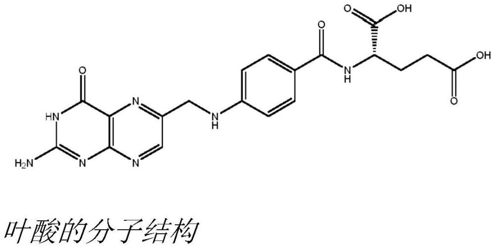 抗葉酸劑接頭-藥物和抗體-藥物綴合物的制作方法