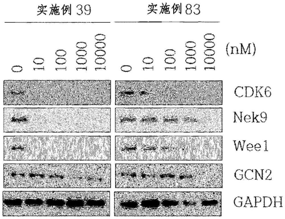 具有蛋白激酶抑制活性的2,7-取代的吡咯并[2,1-F][1,2,4]三嗪化合物的制作方法