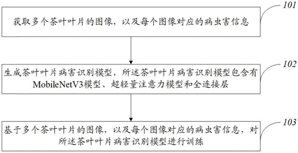 茶葉病害識(shí)別模型的創(chuàng)建方法、裝置、設(shè)備及存儲(chǔ)介質(zhì)