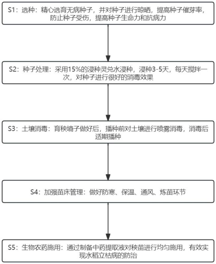 一種水稻立枯病防治方法