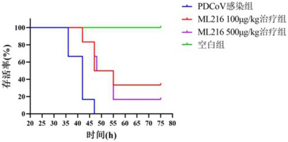 ML216在制備抗豬德爾塔冠狀病毒藥物中的應(yīng)用