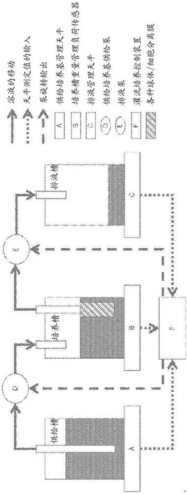 自然殺傷細(xì)胞的制造方法與流程