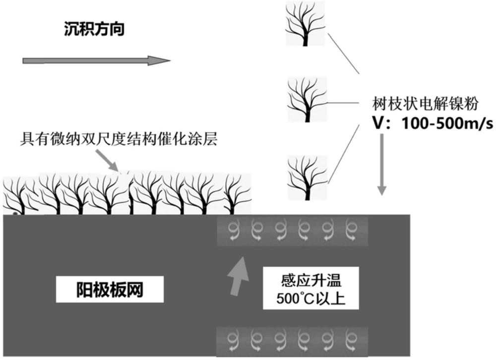 一種電解水陽極板網(wǎng)及其制備方法和電解裝置與流程