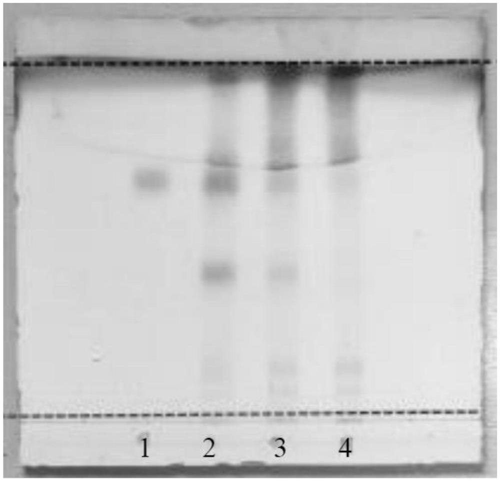 身痛逐瘀汤中甘草苷的薄层鉴别方法与流程