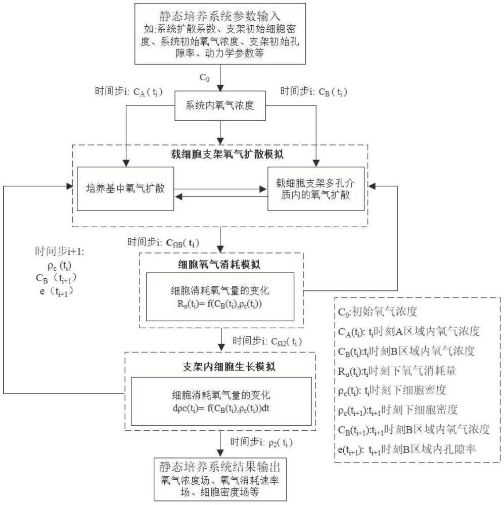 一种新型工程化高密度血管的肝组织支架构建方法